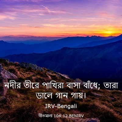 Picture 03 - গীতমালা 104:12 BENIRV - নদীর তীরে পাখিরা - Bible Verse Picture