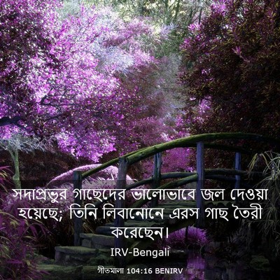 Picture 03 - গীতমালা 104:16 BENIRV - সদাপ্রভুুর - Bible Verse Picture