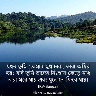 Picture 03 - গীতমালা 104:29 BENIRV - যখন তুমি তোমার মুখ - Bible Verse Picture