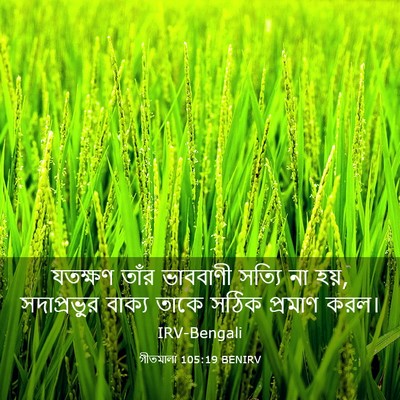 Picture 03 - গীতমালা 105:19 BENIRV - যতক্ষণ তাঁর - Bible Verse Picture