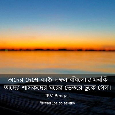 Picture 03 - গীতমালা 105:30 BENIRV - তাদের দেশে ব্যাঙ - Bible Verse Picture