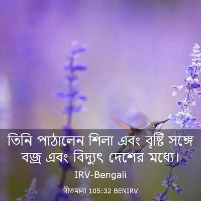 Picture 03 - গীতমালা 105:32 BENIRV - তিনি পাঠালেন শিলা - Bible Verse Picture