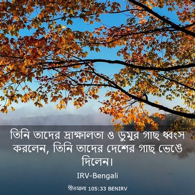 Picture 03 - গীতমালা 105:33 BENIRV - তিনি তাদের - Bible Verse Picture