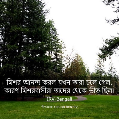 Picture 03 - গীতমালা 105:38 BENIRV - মিশর আনন্দ করল যখন - Bible Verse Picture