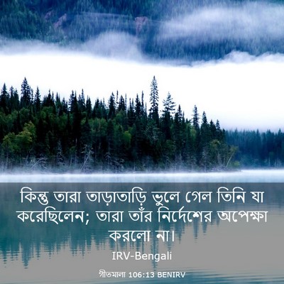 Picture 03 - গীতমালা 106:13 BENIRV - কিন্তু তারা - Bible Verse Picture