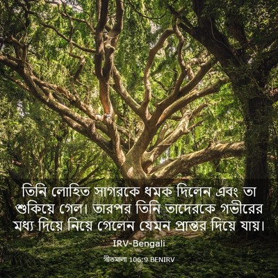 Picture 03 - গীতমালা 106:9 BENIRV - তিনি লোহিত সাগরকে - Bible Verse Picture