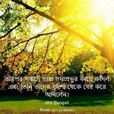 Picture 03 - গীতমালা 107:13 BENIRV - তারপর সঙ্কটে তারা - Bible Verse Picture