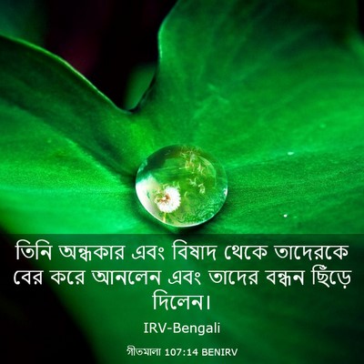 Picture 03 - গীতমালা 107:14 BENIRV - তিনি অন্ধকার এবং - Bible Verse Picture