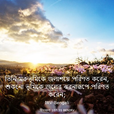 Picture 03 - গীতমালা 107:35 BENIRV - তিনি মরুভূমিকে - Bible Verse Picture