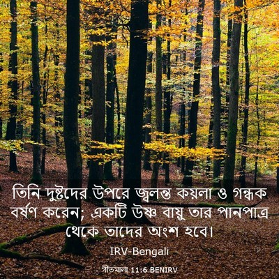Picture 03 - গীতমালা 11:6 BENIRV - তিনি দুষ্টদের - Bible Verse Picture