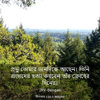 Picture 03 - গীতমালা 110:5 BENIRV - প্রভু তোমার - Bible Verse Picture