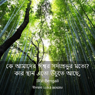 Picture 03 - গীতমালা 113:5 BENIRV - কে আমাদের ঈশ্বর - Bible Verse Picture