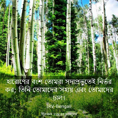 Picture 03 - গীতমালা 115:10 BENIRV - হারোণের বংশ তোমরা - Bible Verse Picture