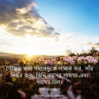 Picture 03 - গীতমালা 115:11 BENIRV - তোমরা যারা - Bible Verse Picture