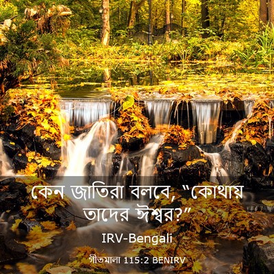 Picture 03 - গীতমালা 115:2 BENIRV - কেন জাতিরা বলবে, - Bible Verse Picture