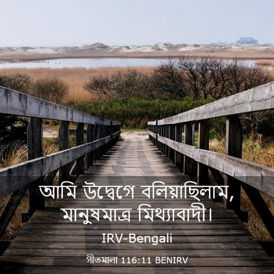 Picture 03 - গীতমালা 116:11 BENIRV - আমি উদ্বেগে - Bible Verse Picture