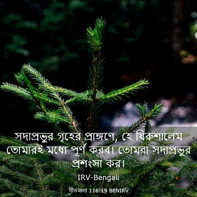 Picture 03 - গীতমালা 116:19 BENIRV - সদাপ্রভুুর গৃহের - Bible Verse Picture