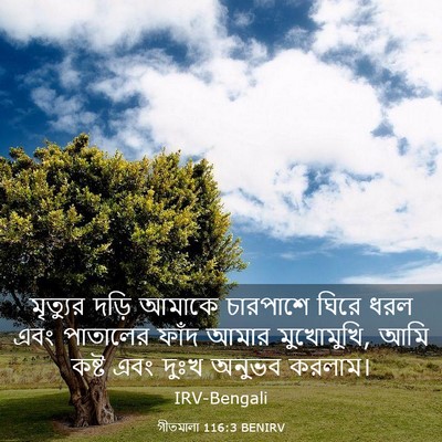 Picture 03 - গীতমালা 116:3 BENIRV - মৃত্যুর দড়ি - Bible Verse Picture