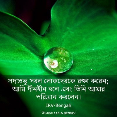 Picture 03 - গীতমালা 116:6 BENIRV - সদাপ্রভুু সরল - Bible Verse Picture