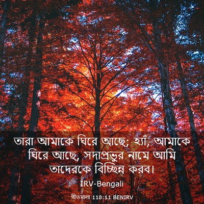 Picture 03 - গীতমালা 118:11 BENIRV - তারা আমাকে ঘিরে - Bible Verse Picture