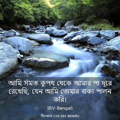 Picture 03 - গীতমালা 119:101 BENIRV - আমি সমস্ত কুপথ - Bible Verse Picture