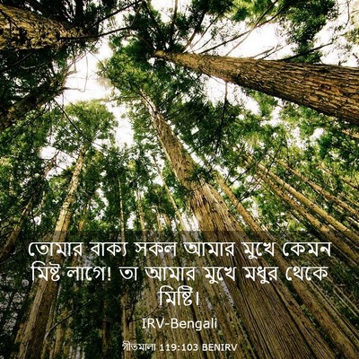 Picture 03 - গীতমালা 119:103 BENIRV - তোমার বাক্য সকল - Bible Verse Picture