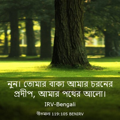Picture 03 - গীতমালা 119:105 BENIRV - নুন। তোমার বাক্য - Bible Verse Picture