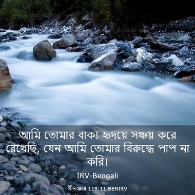Picture 03 - গীতমালা 119:11 BENIRV - আমি তোমার বাক্য - Bible Verse Picture