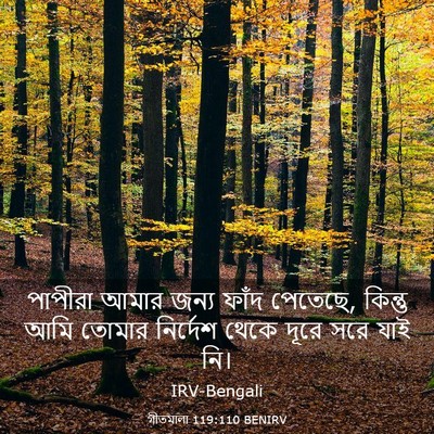 Picture 03 - গীতমালা 119:110 BENIRV - পাপীরা আমার জন্য - Bible Verse Picture