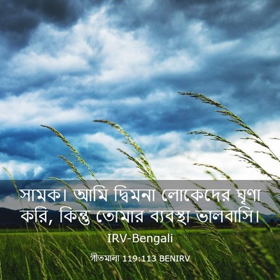 Picture 03 - গীতমালা 119:113 BENIRV - সামক। আমি দ্বিমনা - Bible Verse Picture