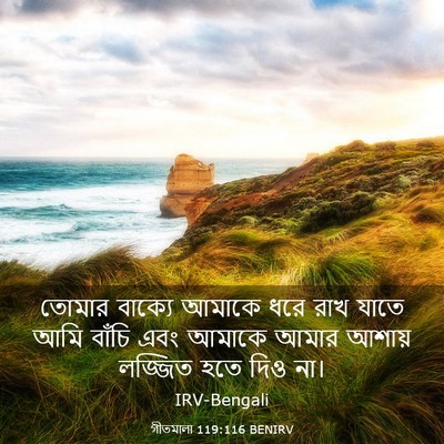 Picture 03 - গীতমালা 119:116 BENIRV - তোমার বাক্যে - Bible Verse Picture