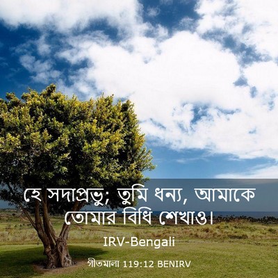Picture 03 - গীতমালা 119:12 BENIRV - হে সদাপ্রভুু; তুমি - Bible Verse Picture
