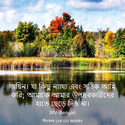 Picture 03 - গীতমালা 119:121 BENIRV - অয়িন। যা কিছু - Bible Verse Picture