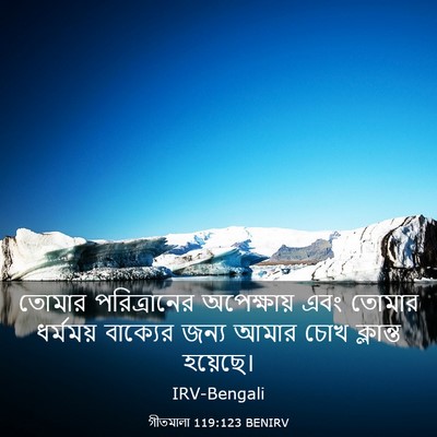 Picture 03 - গীতমালা 119:123 BENIRV - তোমার পরিত্রানের - Bible Verse Picture