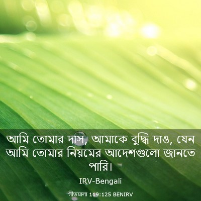 Picture 03 - গীতমালা 119:125 BENIRV - আমি তোমার দাস, - Bible Verse Picture