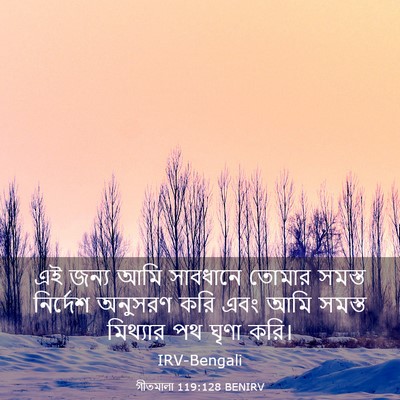 Picture 03 - গীতমালা 119:128 BENIRV - এই জন্য আমি - Bible Verse Picture