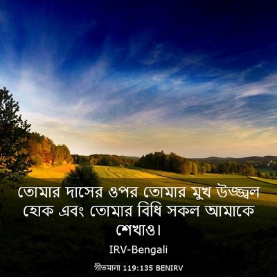 Picture 03 - গীতমালা 119:135 BENIRV - তোমার দাসের ওপর - Bible Verse Picture