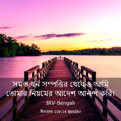 Picture 03 - গীতমালা 119:14 BENIRV - সমস্ত ধন - Bible Verse Picture