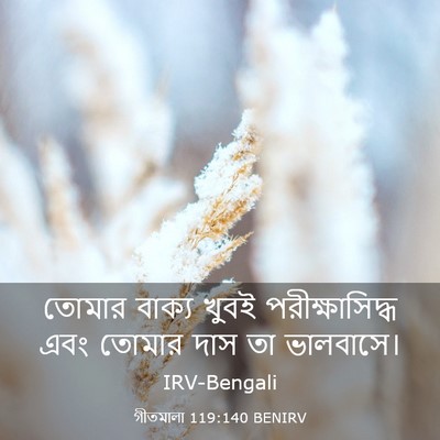 Picture 03 - গীতমালা 119:140 BENIRV - তোমার বাক্য খুবই - Bible Verse Picture