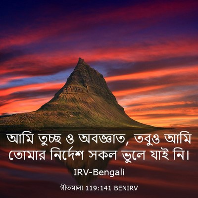 Picture 03 - গীতমালা 119:141 BENIRV - আমি তুচ্ছ ও - Bible Verse Picture