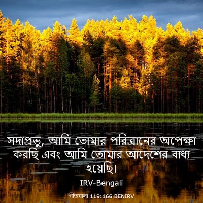 Picture 03 - গীতমালা 119:166 BENIRV - সদাপ্রভুু, আমি - Bible Verse Picture
