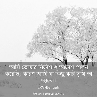 Picture 03 - গীতমালা 119:168 BENIRV - আমি তোমার নির্দেশ - Bible Verse Picture