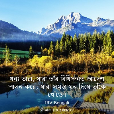 Picture 03 - গীতমালা 119:2 BENIRV - ধন্য তারা, যারা - Bible Verse Picture