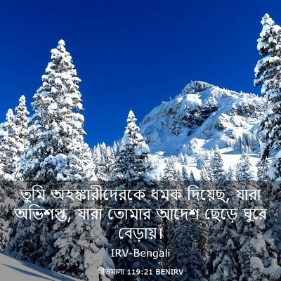 Picture 03 - গীতমালা 119:21 BENIRV - তুমি - Bible Verse Picture