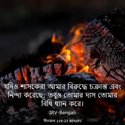 Picture 03 - গীতমালা 119:23 BENIRV - যদিও শাসকেরা আমার - Bible Verse Picture