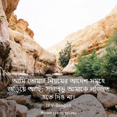 Picture 03 - গীতমালা 119:31 BENIRV - আমি তোমার নিয়মের - Bible Verse Picture