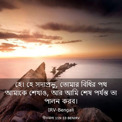 Picture 03 - গীতমালা 119:33 BENIRV - হে। হে সদাপ্রভুু, - Bible Verse Picture