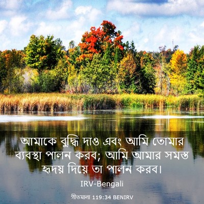 Picture 03 - গীতমালা 119:34 BENIRV - আমাকে বুদ্ধি দাও - Bible Verse Picture