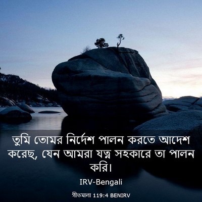 Picture 03 - গীতমালা 119:4 BENIRV - তুমি তোমর নির্দেশ - Bible Verse Picture