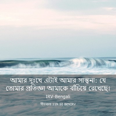 Picture 03 - গীতমালা 119:50 BENIRV - আমার দুঃখে এটাই - Bible Verse Picture